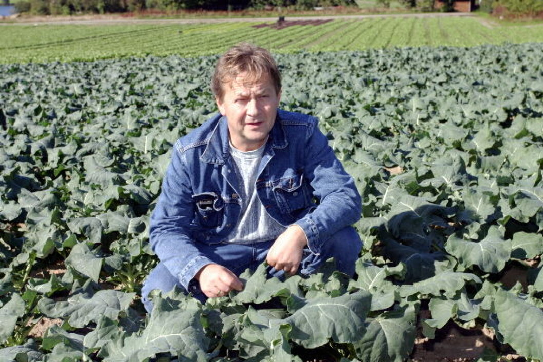 Einar Hanasand salatproduksjon Randaberg2 Einar Hanasand salatproduksjon Randaberg2