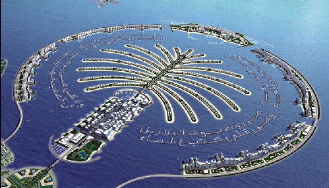 Dubai palme nett Dubai palme nett