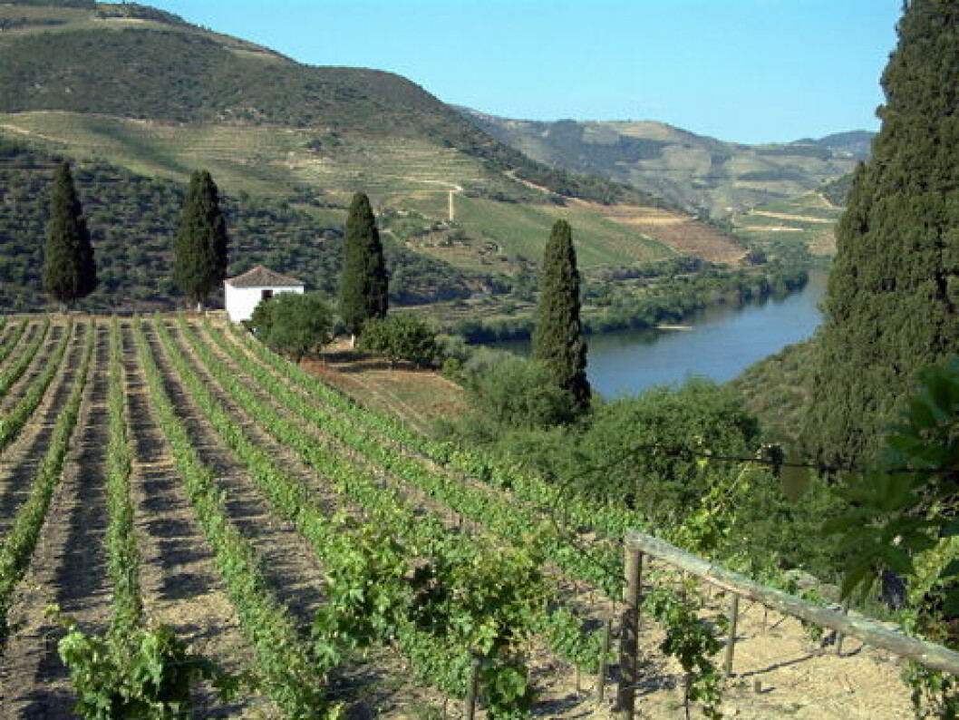 Portugal vinmarker nett1 Portugal vinmarker nett1
