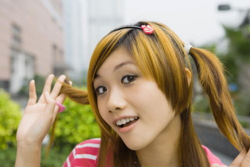 Japan turist1 Japan turist1