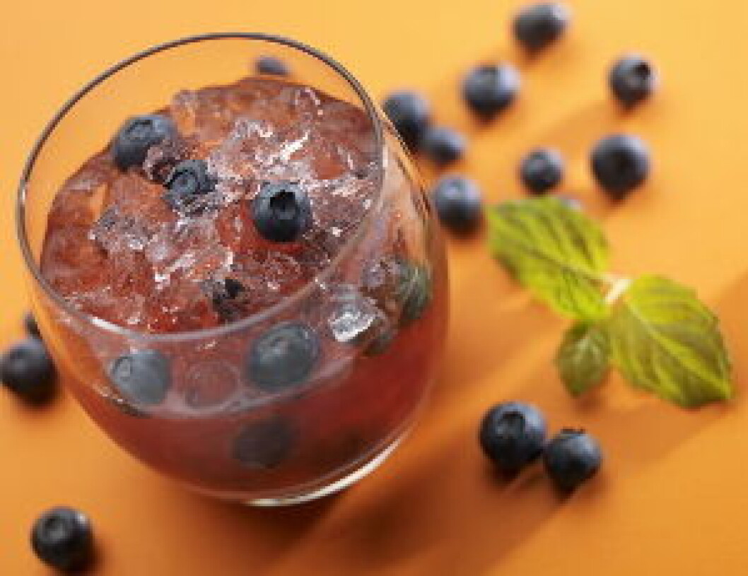 Vikingfjord Blueberry Crush nett Vikingfjord Blueberry Crush nett