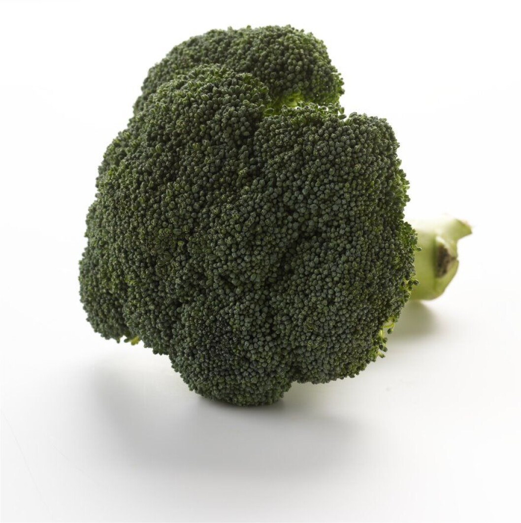 colourbox_broccoli colourbox_broccoli
