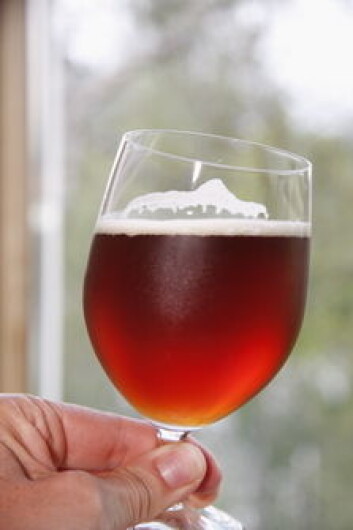 Gyllent øl fra Tinja Gårdsbryggeri. (Foto: Morten Holt) Gyllent øl fra Tinja Gårdsbryggeri. (Foto: Morten Holt)