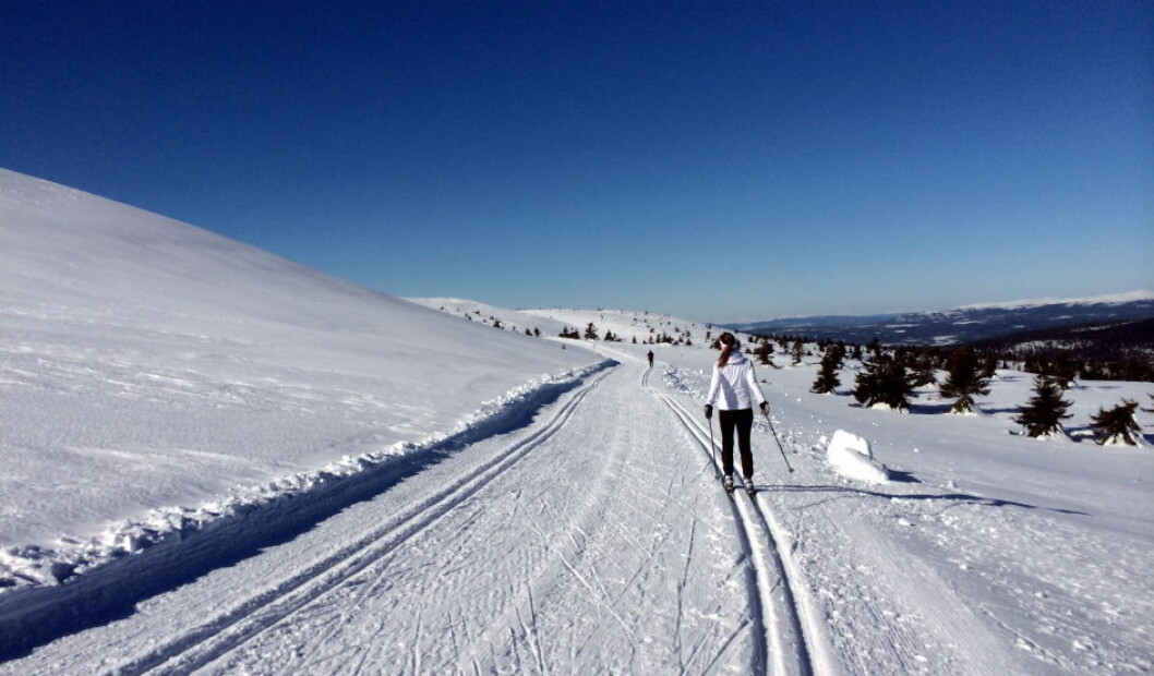 Langrenn Trysil skiløyper2 Langrenn Trysil skiløyper2