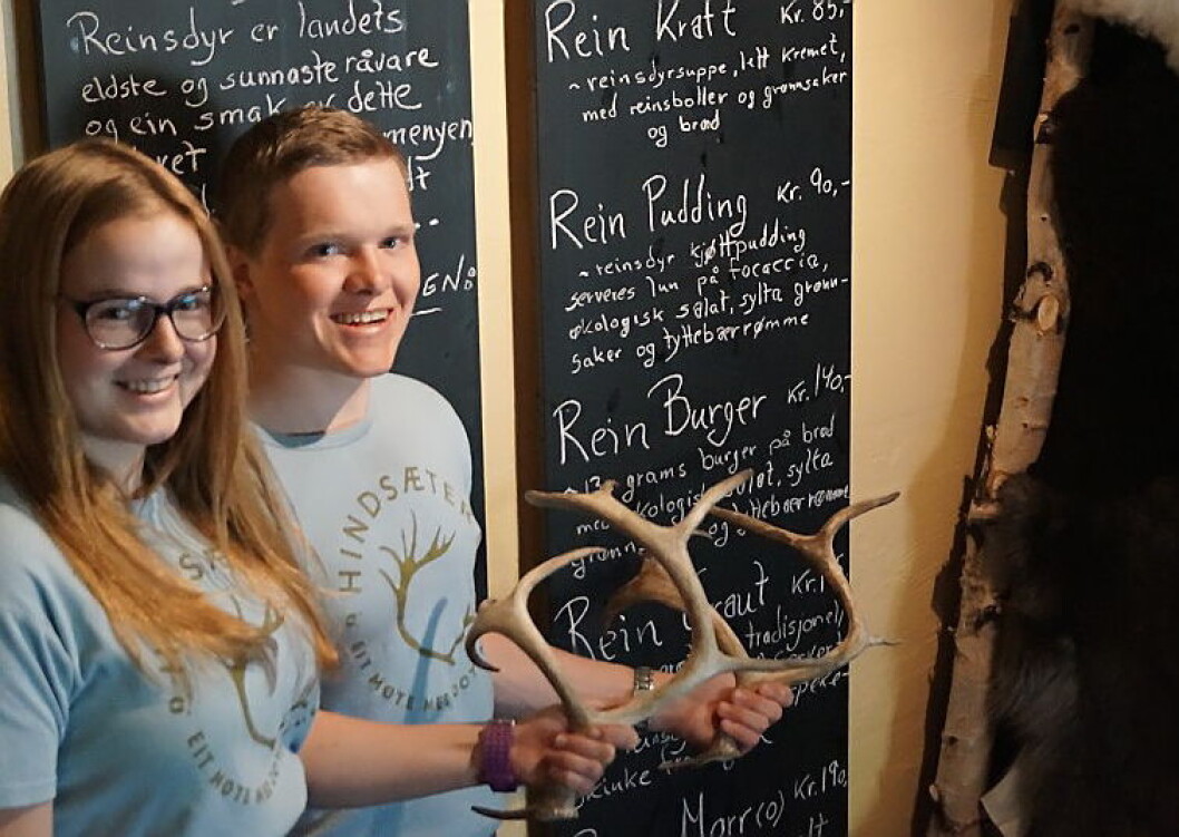 Rein på menyen Hindsæter Rein på menyen Hindsæter