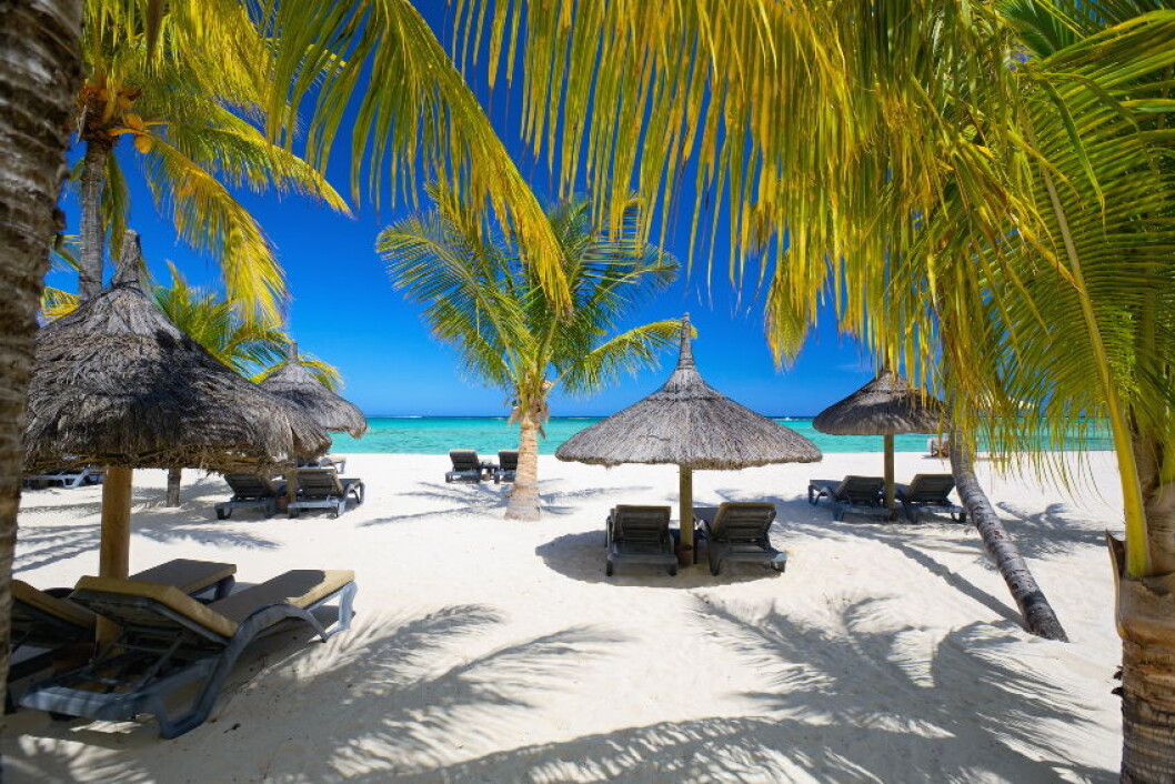 Mauritius strand COLOURBOX8606517 Mauritius strand COLOURBOX8606517