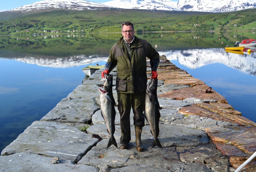 Fisk Fisketurisme Sei Fisk Fisketurisme Sei