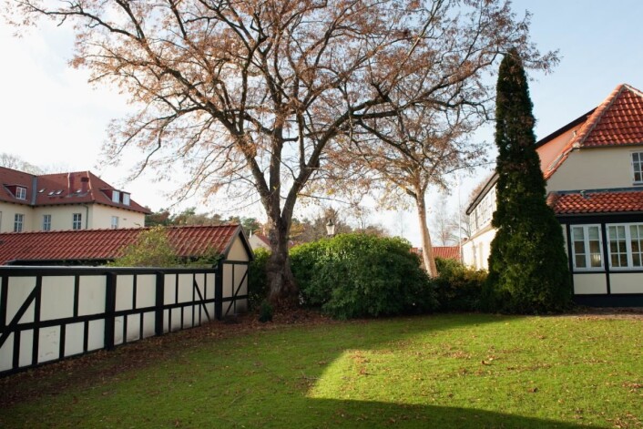 Gamle Skovridergaard blir et BW Premier Collection-hotell. Gamle Skovridergaard blir et BW Premier Collection-hotell.
