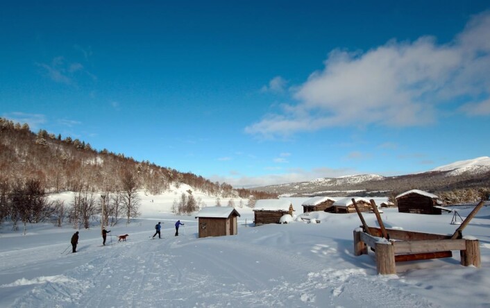 Det er fortsatt knallføre for ski, og løypene går omtrent inn i kaffebaren på Kalven seter. (Foto: Kalven seter) Det er fortsatt knallføre for ski, og løypene går omtrent inn i kaffebaren på Kalven seter. (Foto: Kalven seter)