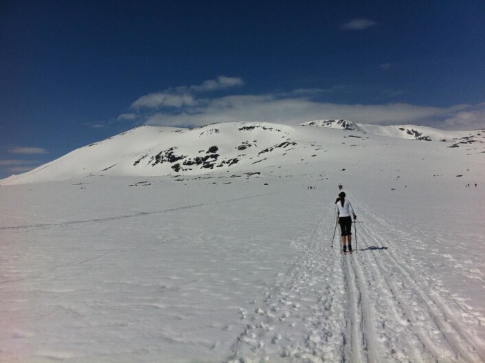 Nå starter vårskisesongen! Her fra Valdresflya mot Raslet og Rasletind. (Foto: Morten Holt) Nå starter vårskisesongen! Her fra Valdresflya mot Raslet og Rasletind. (Foto: Morten Holt)