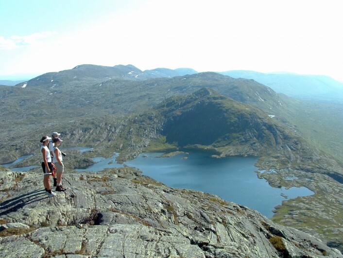 Fra Skjækerfjella. Fra Skjækerfjella.