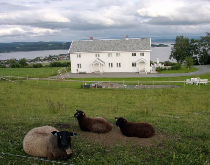 Fra "Den gylne omvei" i Nord-Trøndelag. Her fra Husfrua. (Foto: Morten Holt) Fra "Den gylne omvei" i Nord-Trøndelag. Her fra Husfrua. (Foto: Morten Holt)