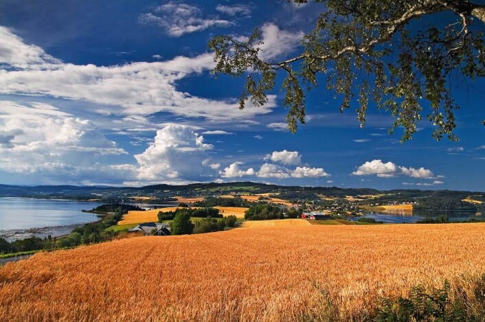 Mot Inderøy. (Foto: Steinar Johansen) Mot Inderøy. (Foto: Steinar Johansen)