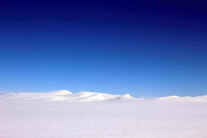 Vakkert vinterlandskap på Valdresflya denne uka. Nå starter vårskisesongen for fullt i området. (Foto: DestinasjonsKirurgene) Vakkert vinterlandskap på Valdresflya denne uka. Nå starter vårskisesongen for fullt i området. (Foto: DestinasjonsKirurgene)