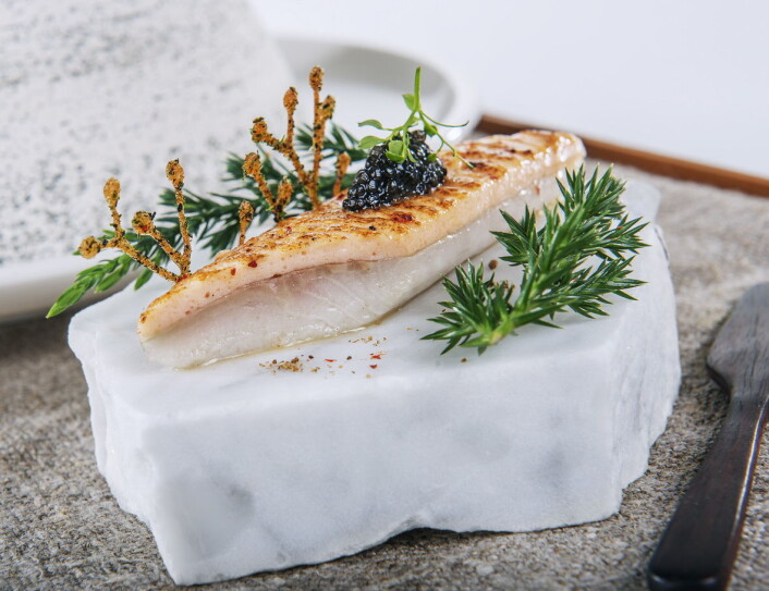 På denne typen stein skulle egentlig fiskeretten presenteres. Det ble ikke noe av. (Foto: Bocuse d'Or Norge) På denne typen stein skulle egentlig fiskeretten presenteres. Det ble ikke noe av. (Foto: Bocuse d'Or Norge)