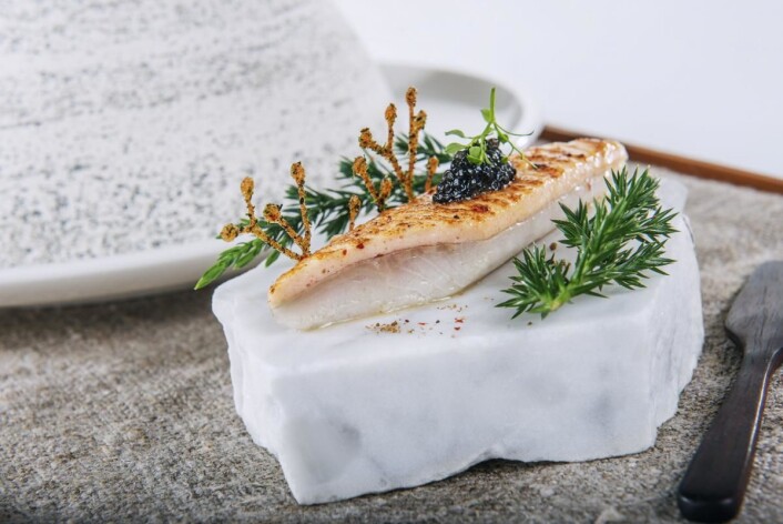Det er forsket lenge på fisken som team CWD serverer i dag. I går kveld med tilbehøret plukket ut. (Foto: Fredrik Ringe) Det er forsket lenge på fisken som team CWD serverer i dag. I går kveld med tilbehøret plukket ut. (Foto: Fredrik Ringe)