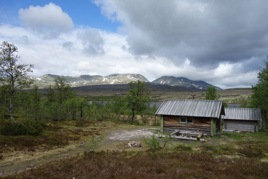Fra Sandbu i Rendalen har du utmerket utsikt mot majestetiske Rendalssølen - med hovedtoppen på 1755 meter over havet. (Foto: Torkel Skoglund, Statskog) Fra Sandbu i Rendalen har du utmerket utsikt mot majestetiske Rendalssølen - med hovedtoppen på 1755 meter over havet. (Foto: Torkel Skoglund, Statskog)