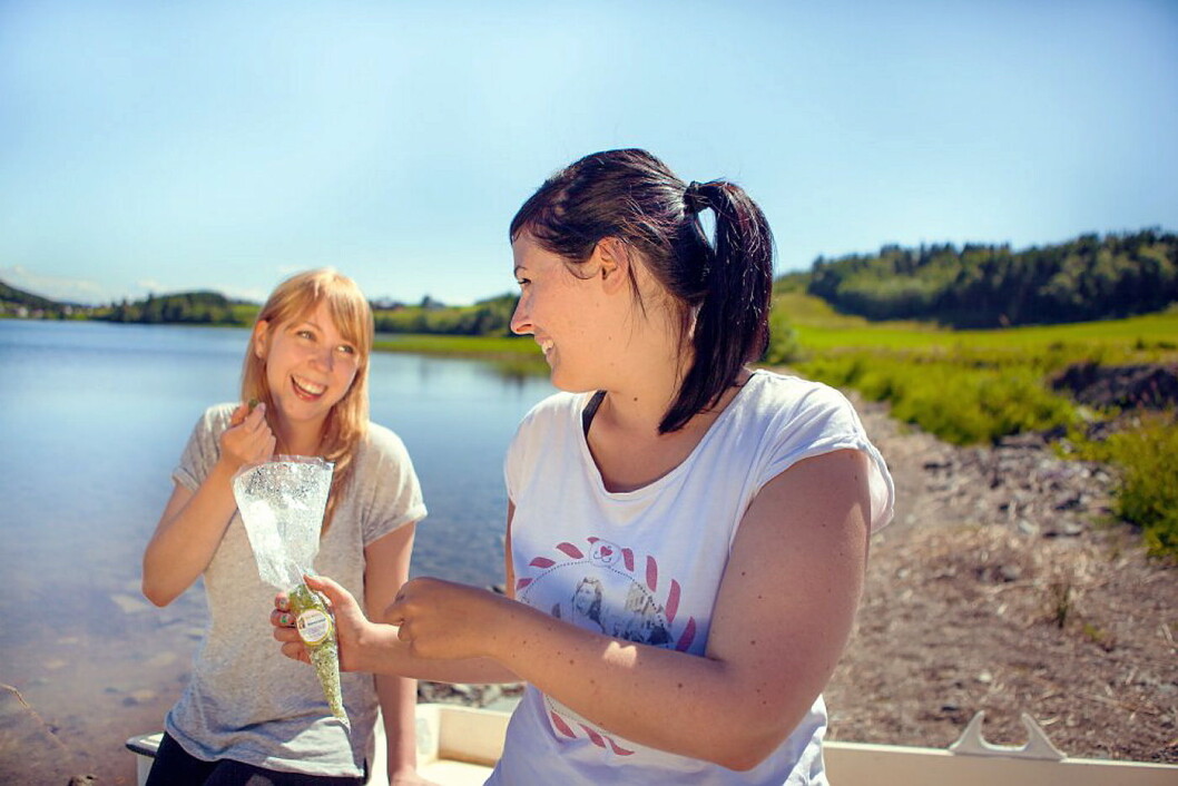 Illustrasjonsfoto: Visit Innherred Illustrasjonsfoto: Visit Innherred