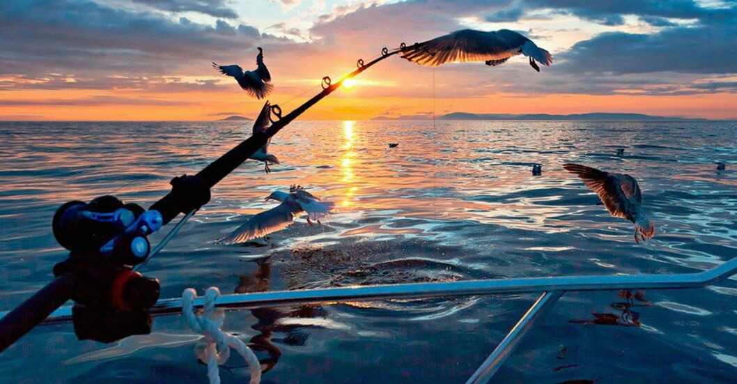 Illustrasjonsfoto: Kongshus Jakt- og Fiskecamp Illustrasjonsfoto: Kongshus Jakt- og Fiskecamp
