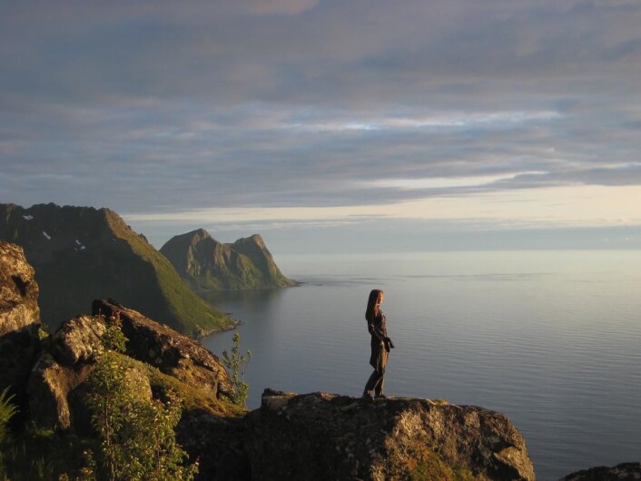 Senja i midnattssol. (Foto: Morten Holt) Senja i midnattssol. (Foto: Morten Holt)