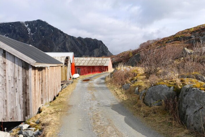 Det er ikke ny asfalt og gode forbikjøringsmuligheter som er poenget med veikartet. (Foto: Børre Skiaker, KNA) Det er ikke ny asfalt og gode forbikjøringsmuligheter som er poenget med veikartet. (Foto: Børre Skiaker, KNA)