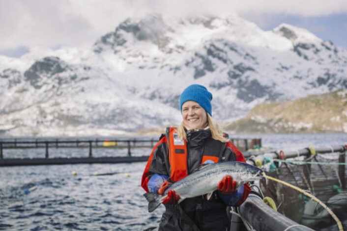 Illustrasjonsfoto: Norges sjømatråd. Illustrasjonsfoto: Norges sjømatråd.