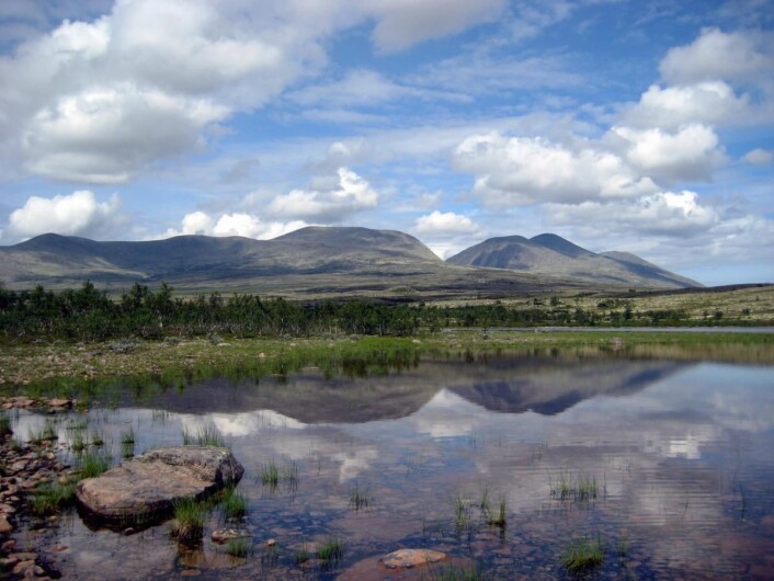 Mektige Rendalssølen (1755 moh.) ligger ikke langt unna. Her fra Sandtjern. (Foto: Morten Holt) Mektige Rendalssølen (1755 moh.) ligger ikke langt unna. Her fra Sandtjern. (Foto: Morten Holt)