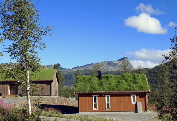 Utsikt mot majestetiske Bitihorn. (Foto: DestinasjonsKirurgene) Utsikt mot majestetiske Bitihorn. (Foto: DestinasjonsKirurgene)