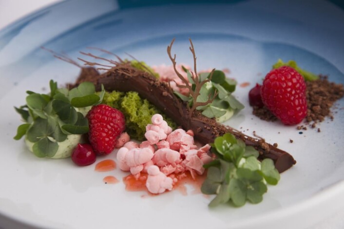 Øyvind Bøe Dalelvs dessert i NM i kokkekunst 2016. (Foto: NKL) Øyvind Bøe Dalelvs dessert i NM i kokkekunst 2016. (Foto: NKL)