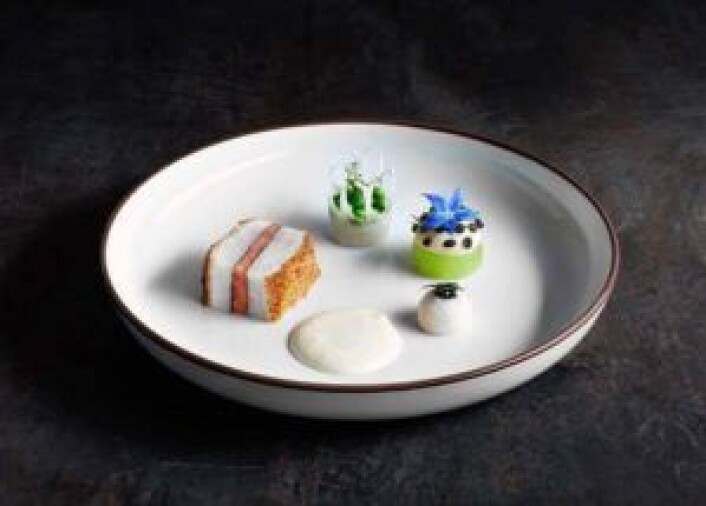 Thomas Borgans kveiterett i Global Chef Challenge. Thomas Borgans kveiterett i Global Chef Challenge.