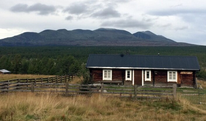 Rendalssølen. (Illustrasjonsfoto: Morten Holt) Rendalssølen. (Illustrasjonsfoto: Morten Holt)