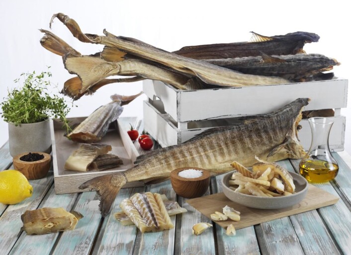 Kandidatene skal sende inn menyforslag (en ganefryd basert på tørrfisk, samt en hovedrett, begge med detaljert oppskrift og foto) til Bocuse d’Or Norge. (Foto: Tom Haga/Seafood.no) Kandidatene skal sende inn menyforslag (en ganefryd basert på tørrfisk, samt en hovedrett, begge med detaljert oppskrift og foto) til Bocuse d’Or Norge. (Foto: Tom Haga/Seafood.no)
