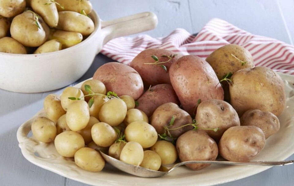 Nordmenn flest er bevisste når de skal velge potetsort til julemiddagen. (Foto: Frukt.no)