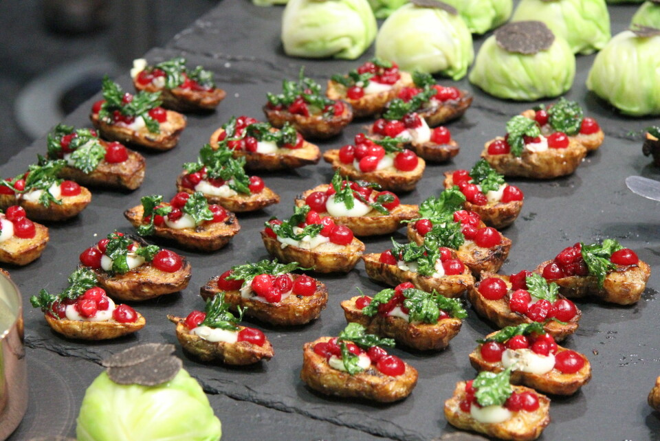 Dette var noe av det som ble servert da Årets grønne kokk ble arrangert i 2014. (Foto: Morten Holt)