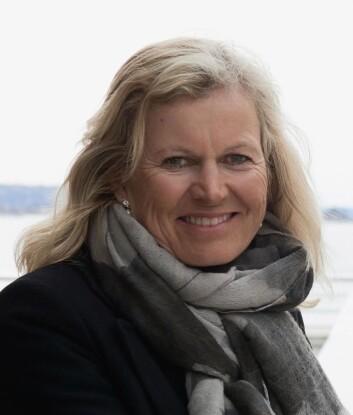 Kristin Krohn Devold. (Foto: NHO Reiseliv) Kristin Krohn Devold. (Foto: NHO Reiseliv)