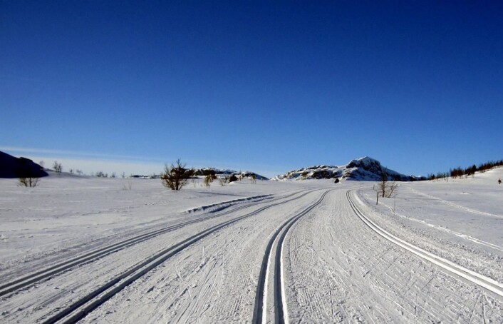 Selve varemerket for Beitostølen: Det er ikke mange som tilbyr et strøkent løypesystem på 1000 meters høyde, som her på toppen av alpinbakken, på vei inn i Jotunheimen. Selve varemerket for Beitostølen: Det er ikke mange som tilbyr et strøkent løypesystem på 1000 meters høyde, som her på toppen av alpinbakken, på vei inn i Jotunheimen.