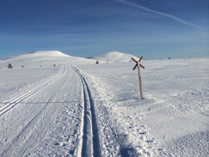 Milevis av langrennsløyper på og rundt Trysilfjellet. Foto: Morten Holt) Milevis av langrennsløyper på og rundt Trysilfjellet. Foto: Morten Holt)
