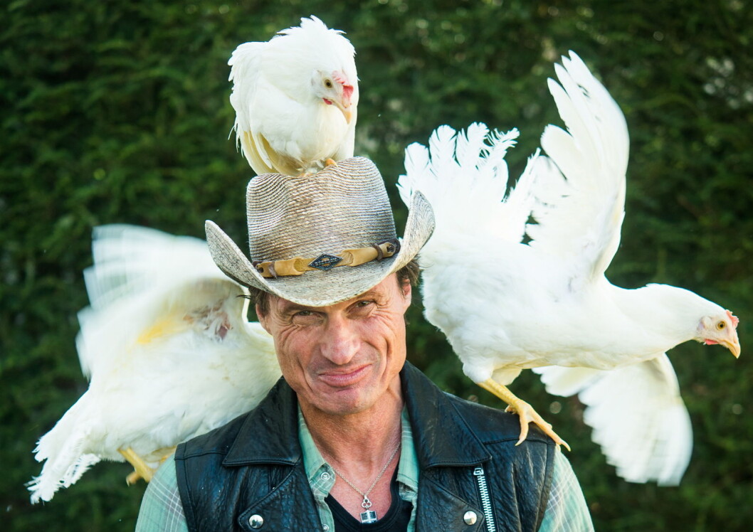 Petter A. Stordalen vil ha mer høne på Nordic Choice-hotellene. (Foto: Espen Hofsmo) Petter A. Stordalen vil ha mer høne på Nordic Choice-hotellene. (Foto: Espen Hofsmo)