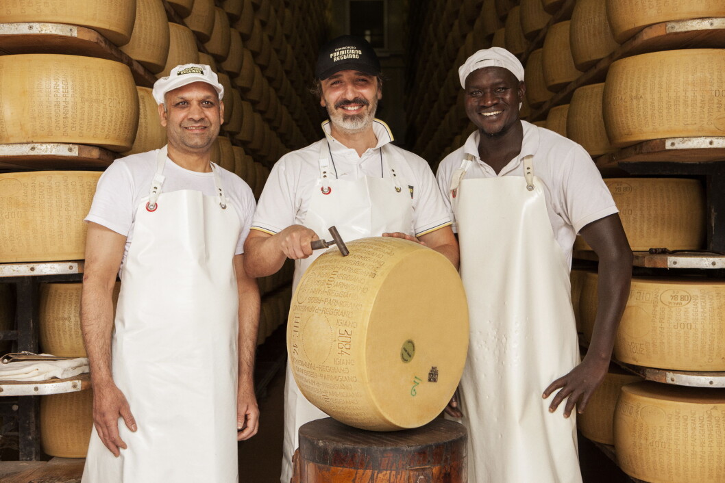 Produksjonen av Parmigiano Reggiano foregår fremdeles ved hjelp av håndkraft. (Foto: Matteo De Mayda) Produksjonen av Parmigiano Reggiano foregår fremdeles ved hjelp av håndkraft. (Foto: Matteo De Mayda)