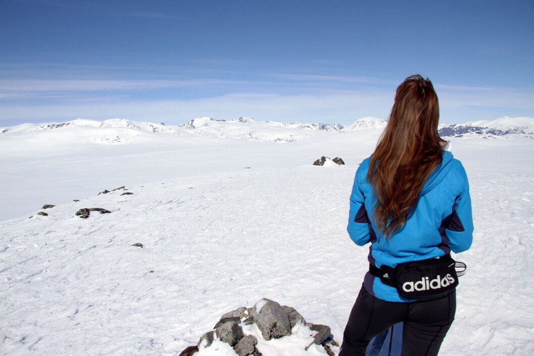 Reiselivsdestinasjonene i fjellet tror på en meget bra påske. Her fra Valdresflya med 2000-meterstoppene Rasletind (fra venstre), Tjørnholstind, Høgdebrotet, Surtningsue, Besshø og Nautgardstind i det fjerne. (Illustrasjonsfoto: Morten Holt) Reiselivsdestinasjonene i fjellet tror på en meget bra påske. Her fra Valdresflya med 2000-meterstoppene Rasletind (fra venstre), Tjørnholstind, Høgdebrotet, Surtningsue, Besshø og Nautgardstind i det fjerne. (Illustrasjonsfoto: Morten Holt)