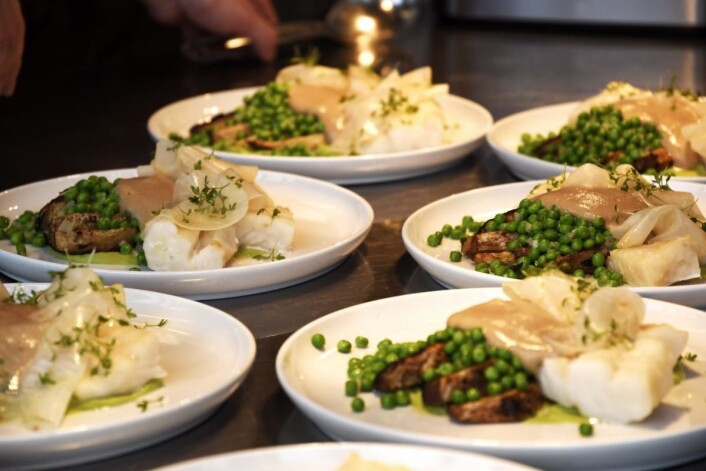 Morkelkrem, langtidsbakt sellerirot, syltet sellerirot og petit pois. (Foto: Maren Nordtorp Larsen/Matmerk) Morkelkrem, langtidsbakt sellerirot, syltet sellerirot og petit pois. (Foto: Maren Nordtorp Larsen/Matmerk)