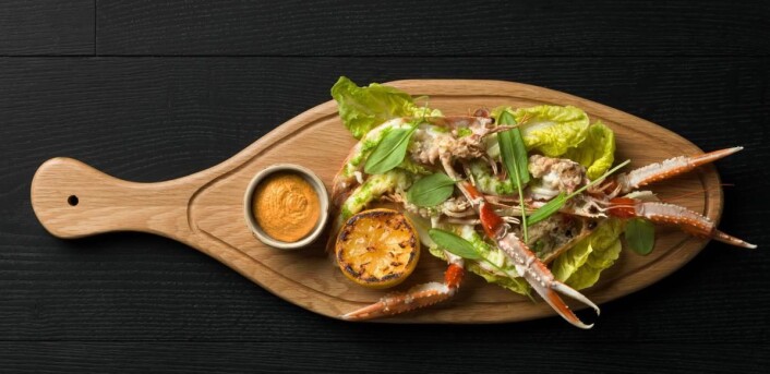 Brasserie Paleo serverer økologisk mat med sesongens beste råvarer. (Foto: Brasserie Paleo) Brasserie Paleo serverer økologisk mat med sesongens beste råvarer. (Foto: Brasserie Paleo)