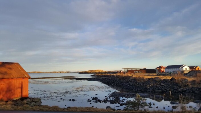 Foto: Finnøy Havstuer Foto: Finnøy Havstuer