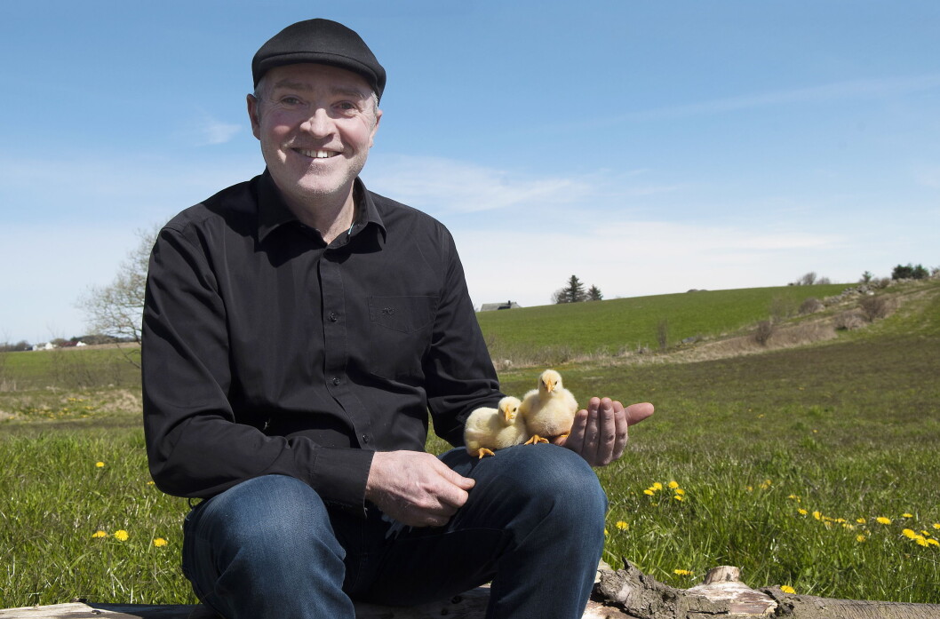 Kyllingbonde Sigurd Høyland holder til i Kongeheia på Rimestad, og han kan fortelle at han er stolt av å være en del av den jærske kyllingsatsingen. (Foto: Pressefoto fra Jæder) Kyllingbonde Sigurd Høyland holder til i Kongeheia på Rimestad, og han kan fortelle at han er stolt av å være en del av den jærske kyllingsatsingen. (Foto: Pressefoto fra Jæder)