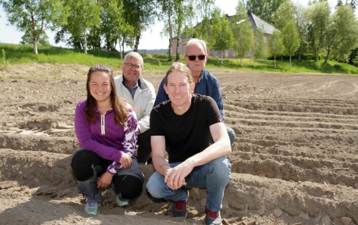 Camilla Bye (fra venstre), Asbjørn Holmen (fra venstre), Are Sætre og Roy Utgaard i prosjektgruppa for Potato Scandinavia. Bak skimtes hovedbygningen på Grinder Gård, der det hele skal foregå 17. august. (Foto: Hans Degerdal)