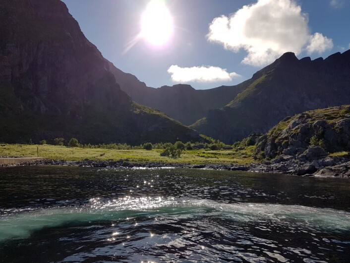 Her, fra den fraflyttede boplassen Ånstad langt ut i Lofoten, stammer Ånstad Lam. (Foto: Ånstad Lam) Her, fra den fraflyttede boplassen Ånstad langt ut i Lofoten, stammer Ånstad Lam. (Foto: Ånstad Lam)