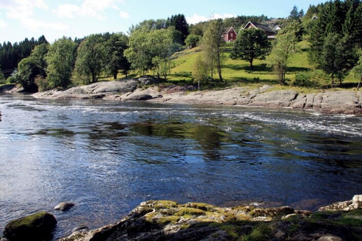 Lakseelva Topdalselva renner forbi eiendommen. (Foto: Boen gård) Lakseelva Topdalselva renner forbi eiendommen. (Foto: Boen gård)