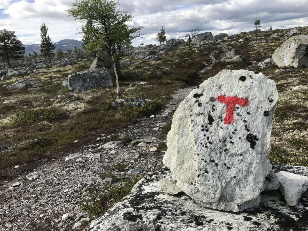 Illustrasjonsfoto: Morten Holt Illustrasjonsfoto: Morten Holt