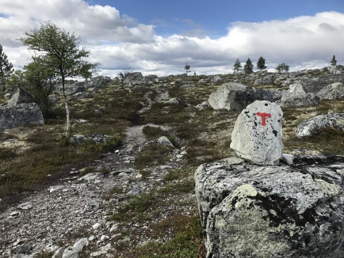 Illustrasjonsfoto: Morten Holt Illustrasjonsfoto: Morten Holt