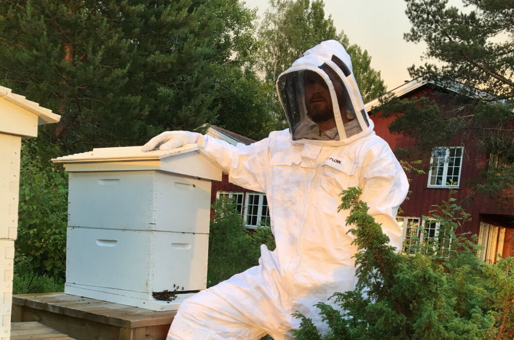 Andy Friedrichs i gang med honningproduksjonen med Honey Flow-kuber på Kleivstua. (Foto: Kleivstua) Andy Friedrichs i gang med honningproduksjonen med Honey Flow-kuber på Kleivstua. (Foto: Kleivstua)